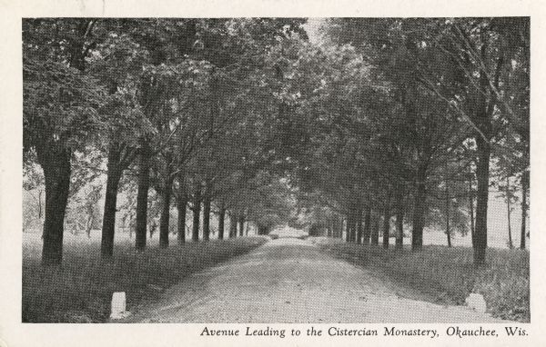 Tree-lined avenue leading to the Cistercian Monastery. Caption reads: "Avenue Leading to the Cistercian Monastery, Okauchee, Wis."