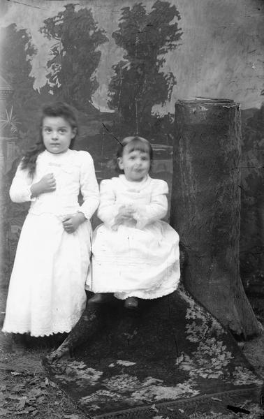 Studio portrait of two young girls posing in front of a painted backdrop depicting trees and a tree stump. The older girl, on the left, is facing slightly left, with her head turned toward the camera, and a look of  surprise on her face. The younger girl is sitting on a draped support, with her feet dangling, and her hands crossed over her lap, with her head caught in motion.