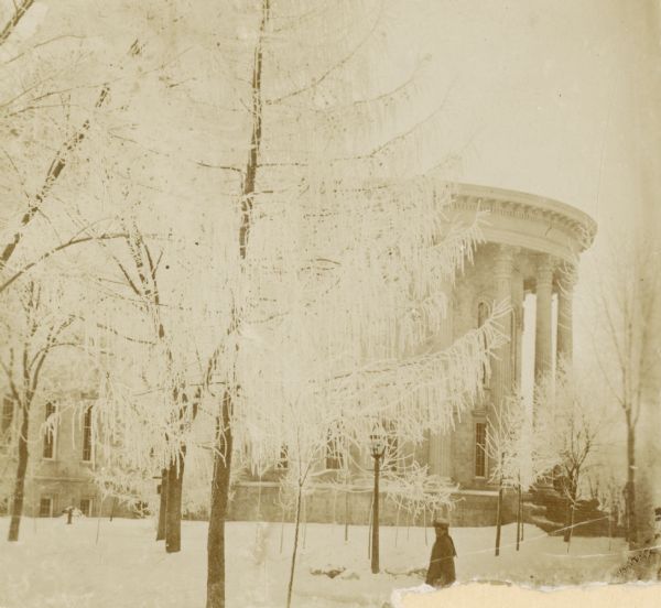 The Wisconsin State Capitol in winter behind a snow-covered tree. There is a person walking in the foreground.
