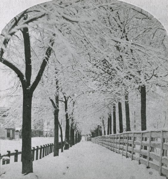 Winter scene with the snow-covered pathway and trees around the Capitol Park.  A wooden fence ran along the inside of the path and a hitching rail for horses ran along the outside to keep the horses away from pedestrians.