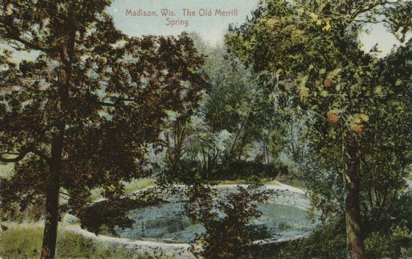 Merrill Springs on Lake Mendota. Caption reads: "Madison Wis. The Old Merrill Spring."