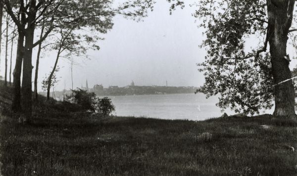 A view from Pleasure Park. The Wisconsin State Capitol is seen across the lake and is framed by two trees in the foreground.