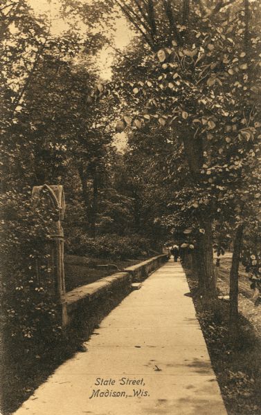 View of a State Street sidewalk and its surrounding environment. Along the left are trees and a lawn, and along the sidewalk is a stone wall. Trees are along the terrace bordering the unpaved street. Caption reads: "State Street, Madison, Wis."