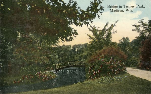 View of a bridge in Tenney Park surrounded by shrubs and trees. Caption reads: "Bridge in Tenney Park, Madison, Wis."