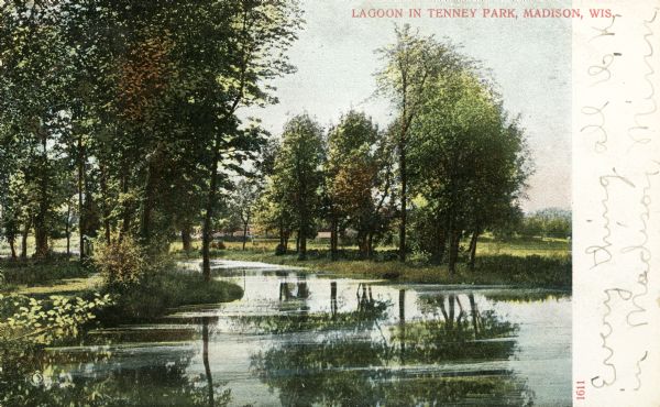 View of the lagoon and surrounding wooded area in Tenney Park. Caption reads: "Lagoon in Tenney Park, Madison, Wis."