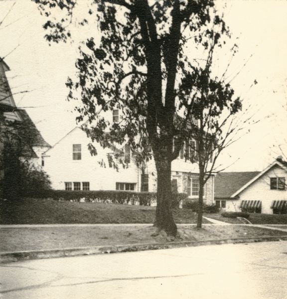View of a supposed Indian "trail tree" on former Mercer's addition or subdivision, now the corner of Chestnut and Van Hise Streets, near Madison West High School. The four lower branches (of which only three remain) have been bent to indicate directions at the intersection of two old Indian trails.