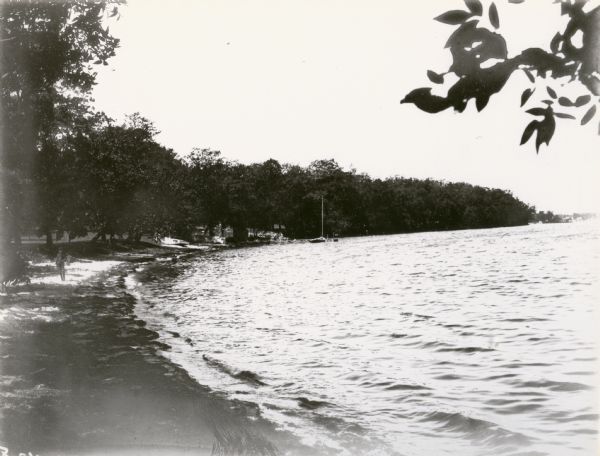 View of Turville's Point and its shoreline on Lake Monona.