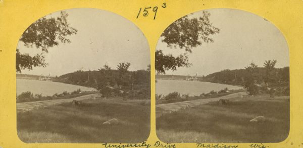 Stereograph of University Drive as it parallels Lake Mendota.
