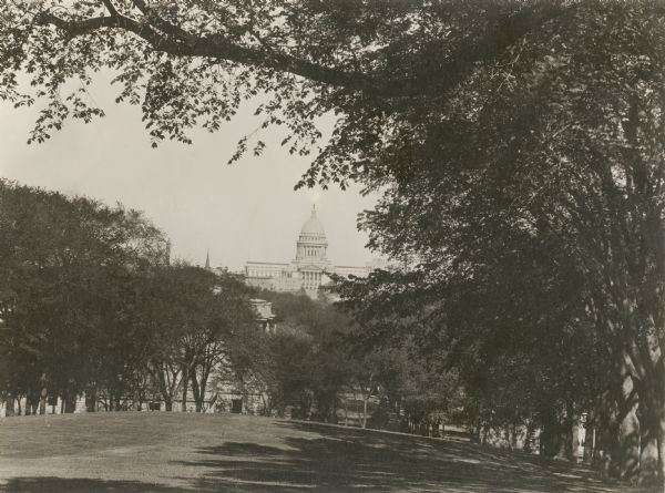 A tree-framed view of the Wisconsin State Capitol from atop Bascom Hill, located on the University of Wisconsin campus.