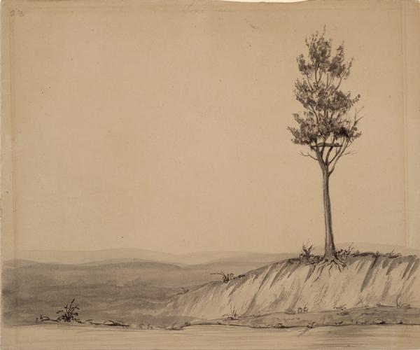 An Indian Burial in a tree; Sketched by Wilkins on his 151-day journey from Missouri to California on the Overland Trail (also known as the Oregon Trail). Wilkins writes about this sight in his diary saying: " Passed yesterday an Indian's 'grave' if a corps lying on the top of a tree can be called a grave. On the top of a solitary tree, by the banks of the Platte, was a bed of poles on which lay the corps of an Indian. He was wrapped in a Scarlet Blanket and a Buffaloe Robe. Near him lay his mocassins, spoon and tin cup with some other articles I could not see. A very singular custom of disposing of their dead."