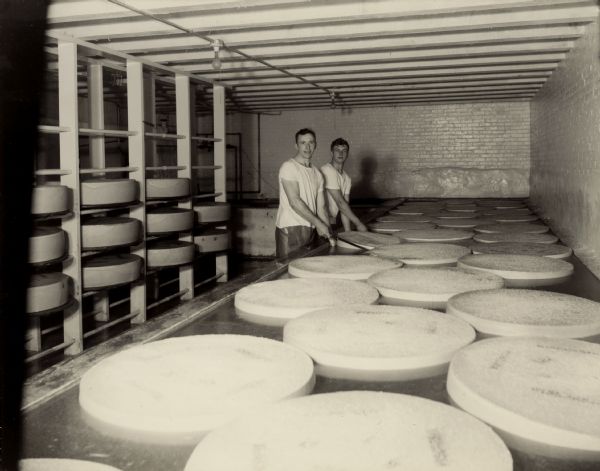 Two men working with cheese at the brine tanks.