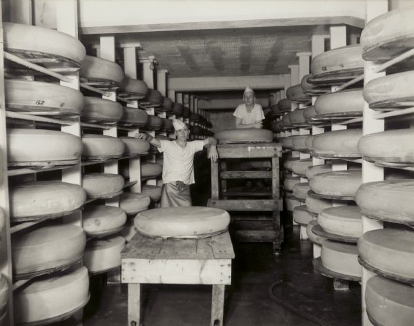 Men preparing cheese to wash.