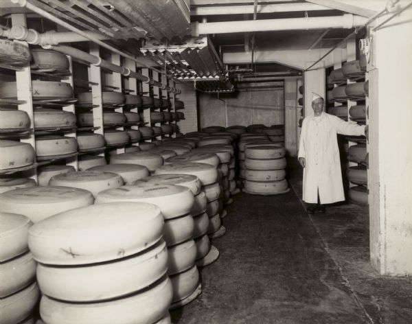 Cheese in the cooling room, with aged cheese in the upper left corner.