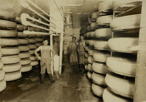 Men stand in the cooling room at Coldren which stored the wheels of cheese on lids on pipe shelves to keep mice away.
