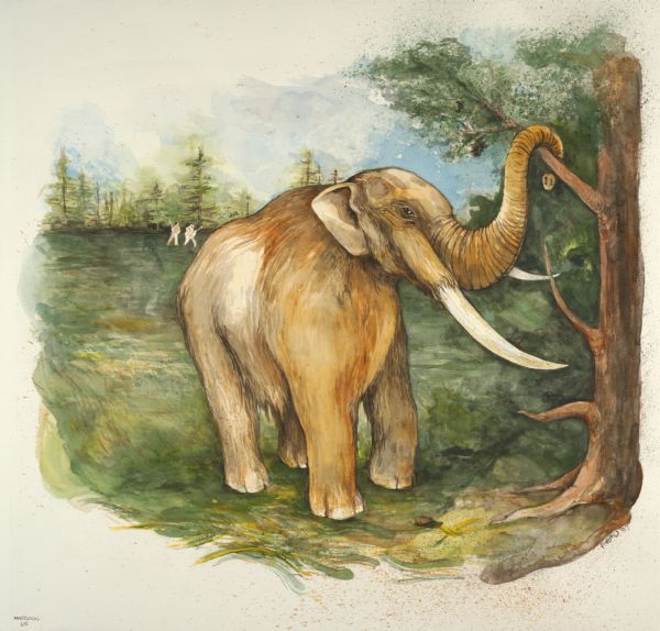 A watercolor of a Mastodon.