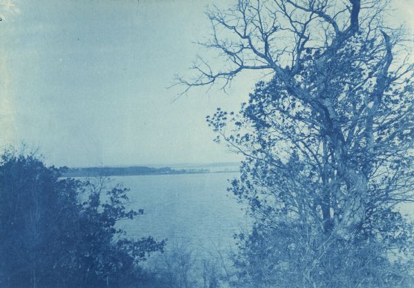 A cyanotype of Picnic Point seen from Observatory Hill.