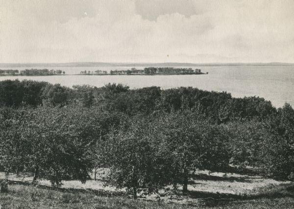 Picnic Point from University drive, currently known as Observatory Hill. There are orchards in the foreground.