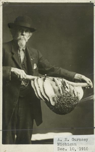 A man displays a stick that has bees and honeycomb hanging from it.