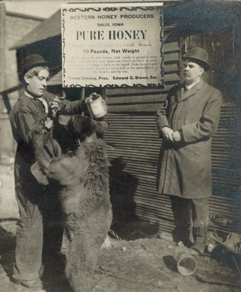 Two men, one watching the other feeding a black bear honey. They are standing in front of a sign that reads, "Western Honey Producers, Salix, Iowa."