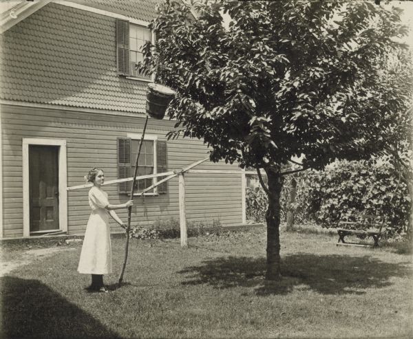A woman demonstrates the use of a homemade bee catcher on a tree in her yard.