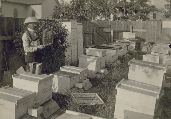 A man wears bee protection, in what appears to be a small apiary in his backyard.