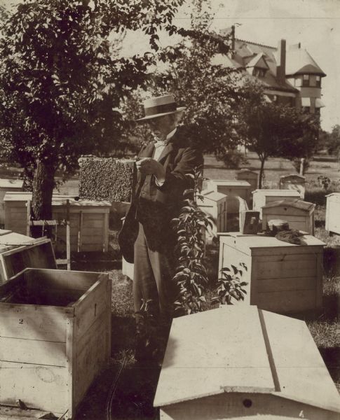 A well-dressed man stands in the middle of several beehives holding a flat box of honey comb covered with bees.