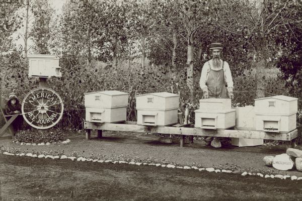 Miniature apiary owned by Mr. L.H. Bremen.