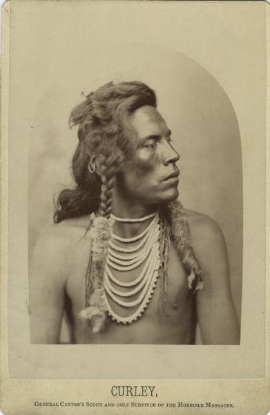 Native Amerian facing left. Two braids wrapped in fur, multi-strand beaded necklace, one earring.