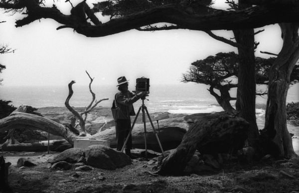 Photographer Ansel Adams setting up his camera in a wooded waterfront area near Point Lobos.