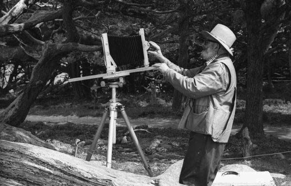 Photographer Ansel Adams adjusting the exposure on his camera in a wooded area near Point Lobos.
