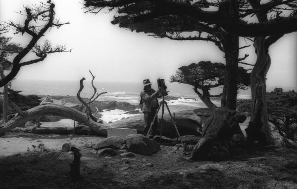 Ansel Adams mounts his 8 x 10 field camera onto his tripod at Point Lobos.