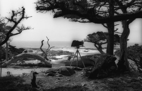 Ansel Adams' camera and hat at Point Lobos.