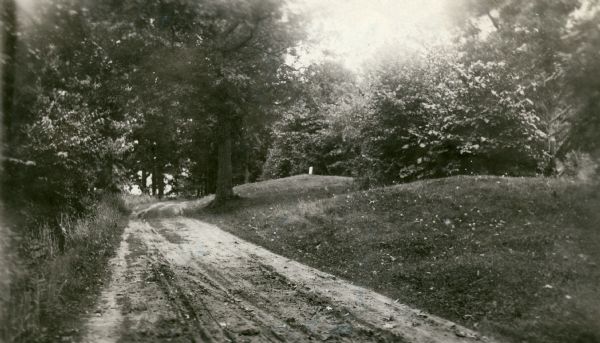 A row of conical burial mounds adjoins the Park and Pleasure Drive on the north shore of Lake Wingra (now Edgewood Drive, at the south edge of Edgewood College). Caption on the back reads, "Permanently preserved and marked with tablet."