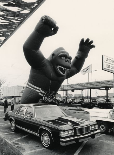 A five-story tall inflatable gorilla attracted potential buyers to a special sale at the Uptown Lincoln-Mercury dealership in Wauwatosa. Although the presence of a gorilla might seem to confirm the unsavory reputation of used car salesmen, this time the promotion was a good thing, fundraising for the Milwaukee Zoo.