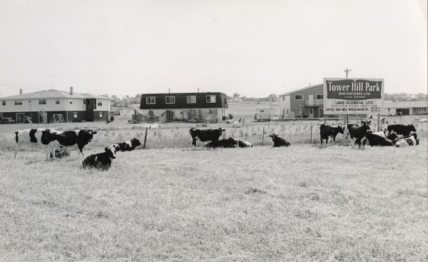 View along the 2700 block of Fish Hatchery Road, with billboard advertising residential lots in Tower Hill Park (a development by Llyman McKee and William McKee and their company called Macventures Inc. at the intersection of Lacy and Fish Hatchery Roads). Cows are grazing in the foreground. (The building with the flat roof has the address 2792 Fish Hatchery Road) Propelled by lower taxes and good roads, suburban development in Dane County and elsewhere in Wisconsin frequently led to conflicts in land use priorities.