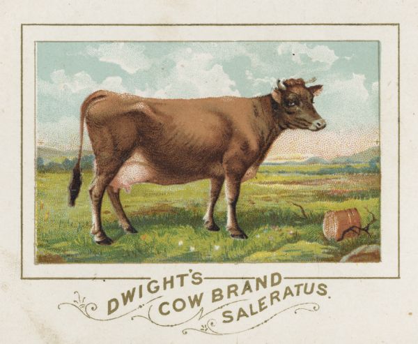 Trade card advertising Dwight's celebrated Cow Brand of Soda and Saleratus.  Saleratus is an early name for baking powder.