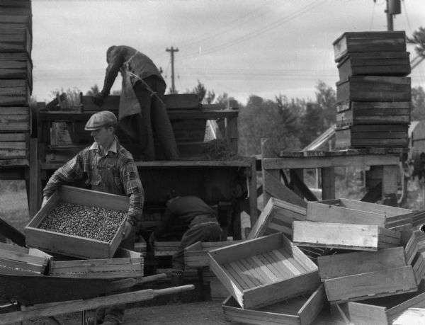 Two men are loading cranberries into a washing machine.