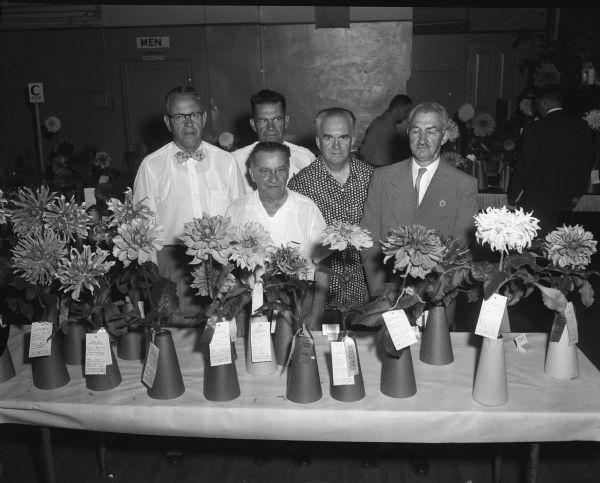 Dahlia show judges stand behind champion dahlias at the Community Center, sponsored by the Badger State Dahlia Society. Shown are left to right: Willard A. Wretman, Moline, Illinois, Charles Mosser, Milwaukee, and George I. Baker, Moline, Illinois.  Behind Mosser are H.F. Cummings, La Grange, Illinois, and Lewis J. West, Chicago.