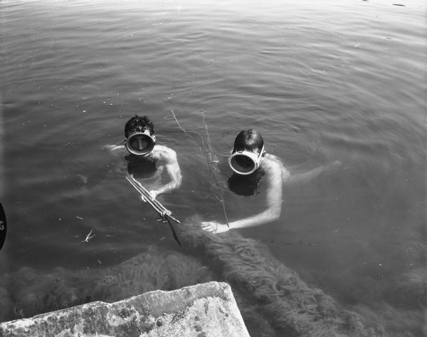 Skin-divers Dick Charmley and Gary Davies with harpoon in Lake Mendota preparing to fish. Dick Charmley is the son of Mr. and Mrs. C.C. Charmley, 20 Paget Road, and Gary is the son of Mr. and Mrs. Arthur Davies, 14 Sherman Terrace.