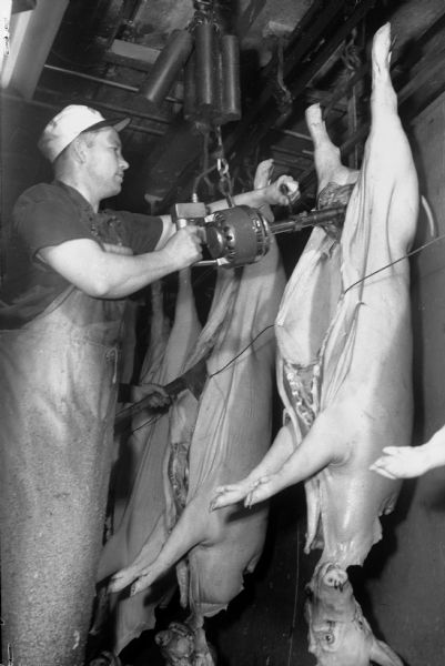 Oscar Mayer worker cutting a pig carcass.