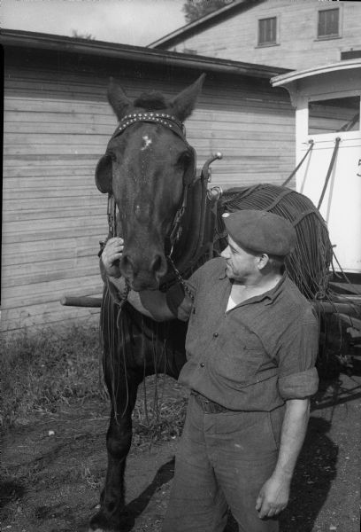Horse caretaker, Matt Marty, shown with Prince, one of the horses used to pull milk delivery wagons for Kennedy-Mansfield Dairy Company, 101 North Lake Street.  The horses are being replaced by milk trucks, much to the disappointment of dairy workers and customers. The end of an era for horse-drawn milk wagons in the city of Madison. Madison dairies went on the every-other-day milk delivery which freed up the trucks for additional service.