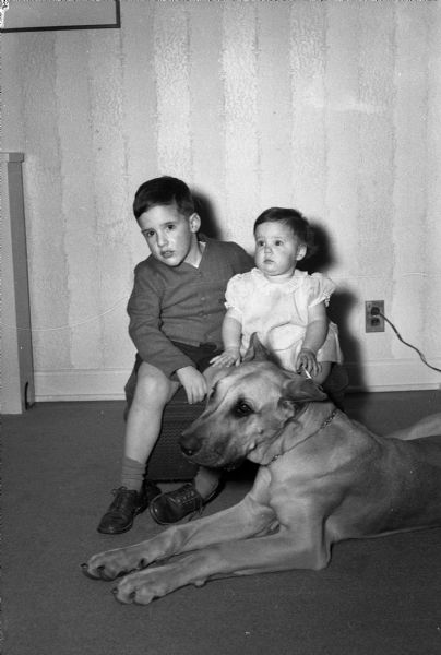 Group portrait of the two children of Dr. and Mrs. Leslie E. Antonius, Shorewood Hills, from left: Jeffrey Bird Antonius, 4; and Leslie Jean, 10 months; shown with their Great Dane, "Leo".