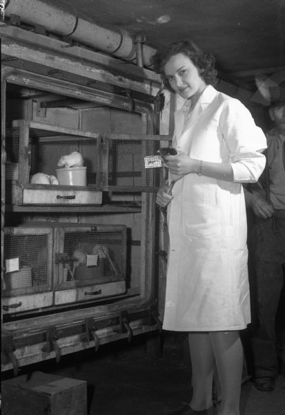 Dorothy Johansson, research assistant in zoology at the University of Wisconsin, performing an experiment using white rats to check techniques being developed to combat altitude sickness. A man is standing behind on the right.