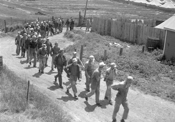 A work shift of German prisoners at a prisoner of war camp marching to trucks to be conveyed to work at a local cannery.