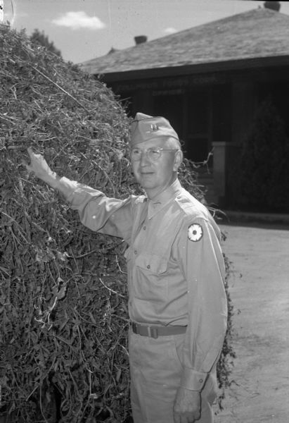 Capt. Huldreich M. Stienecker, Michigan, inspecting a load of peas at a cannery where German prisoners of war are working. Steinecker is in charge of the prisoner of war camp.