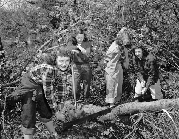 Four University of Wisconsin coeds sawing tree branches during a university student workday.