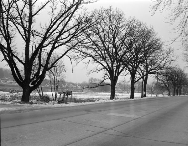 View of the 3500 block of University Avenue, site of the Coca-Cola Bottling plant. There are trees along the road and names on mailboxes of "Middleton" and "W.T. Hagan."
