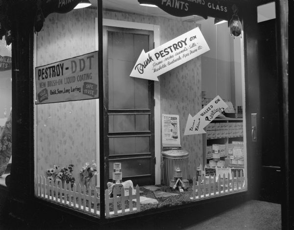 Sherwin Williams Company, 340 State Street, window display of PESTROY-DDT, new brush-on liquid coating for screens, porches, basements, sills, thresholds, baseboards, pipes and drains. The advertisement reads: "Quick, sure, long-lasting, kills insects and safe to use."