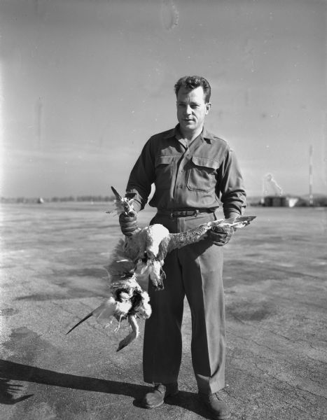 Bert F. Crary, an employee at Truax Municipal Airport, holding three seagulls killed by an airplane as it landed at the airport.