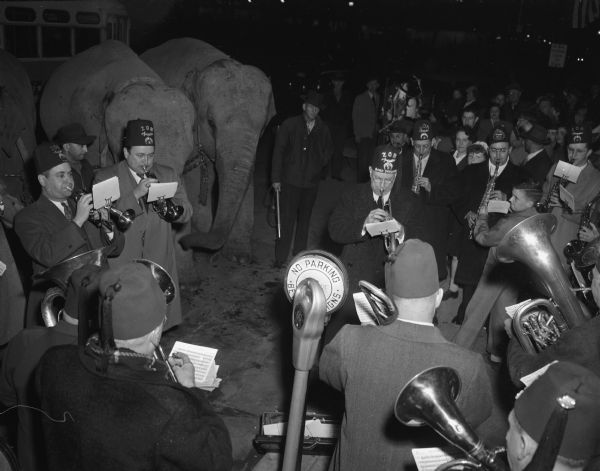 Zor Shriners Band members serenading the Polack Brothers show elephants outside of the Parkway Theater, where they are performing.